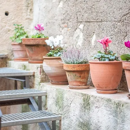 Cal Giral Ii Bed & Breakfast *